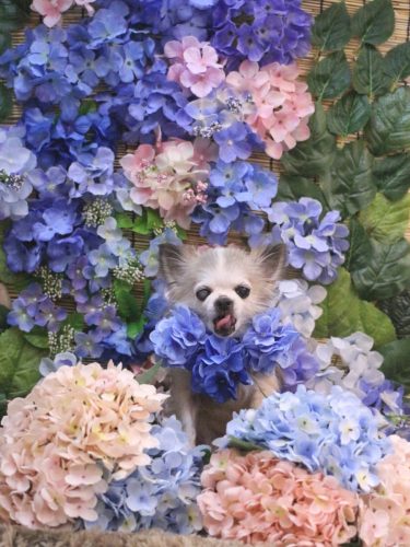 20250607クラウディアちゃん 